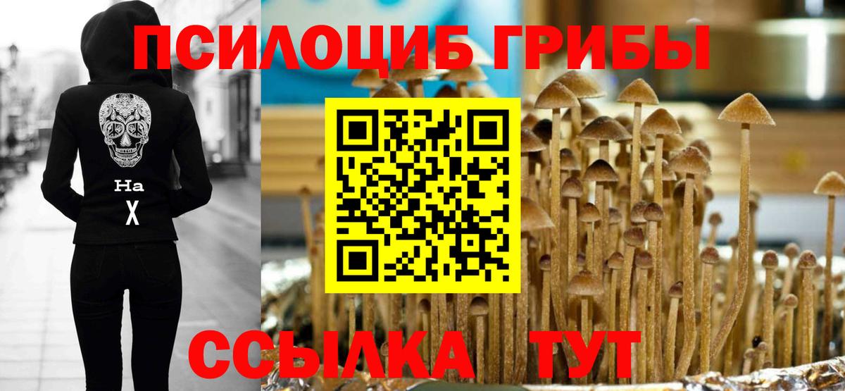 Галлюциногенные грибы Psilocybe  Вход с VPN  Галлюциногенные грибы GOLDEN TEACHER  Гулькевичи 